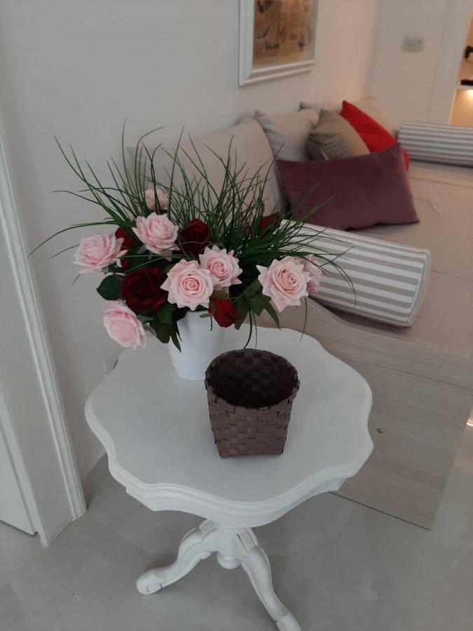 La Vie En Rose - Casa Vacanze Diamante Εξωτερικό φωτογραφία