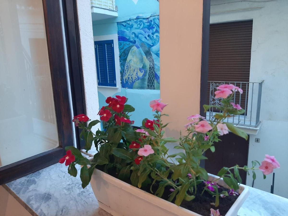La Vie En Rose - Casa Vacanze Diamante Εξωτερικό φωτογραφία
